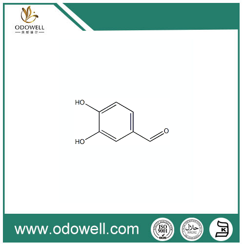 3,4-dihydroxibensaldehyd