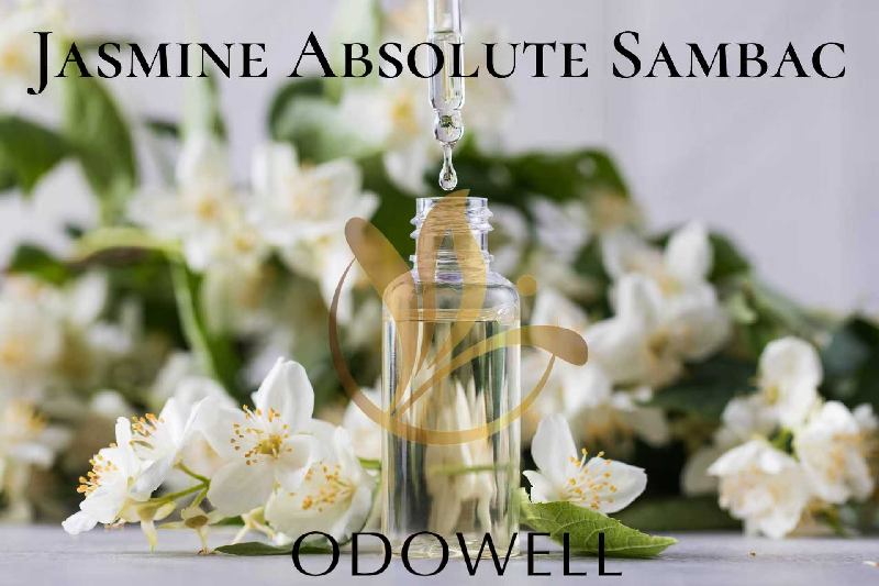 ODOWELL lanserar Jasmine Absolute Sambac – ett premium naturligt Jasmine Absolute för parfym och skönhet