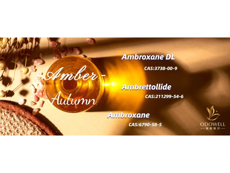 Vilka är de bästa könsneutrala dofterna för 2025