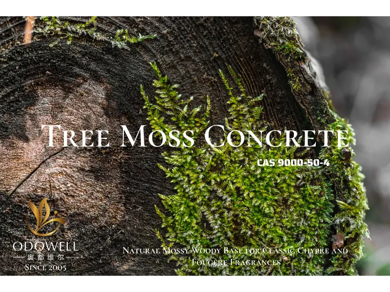 Tree Moss Concrete – ODOWELLs naturliga mossiga träiga bas för klassiska Chypre och Fougère dofter