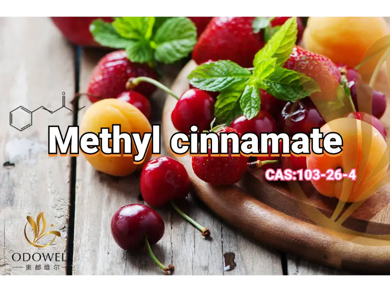 Methyl Cinnamate – ODOWELLs söta fruktiga-balsamicoester för orientaliska dofter