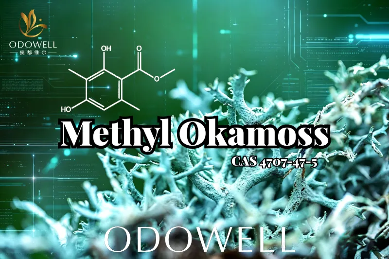 ​ODOWELL introducerar Methyl Okamoss: Autentisk syntetisk ekmossa för Chypre och Fougère Mastery