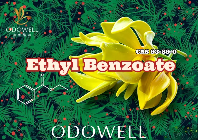 ODOWELL lanserar Ethyl Benzoate: Warm Wintergreen-Ylang Ester för blommig och orientalisk elegans