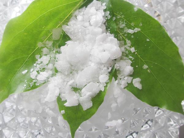 Borneolflingor syntetiska